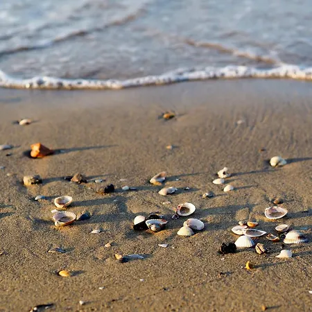 Apartment With Pool In 54749 Bibione