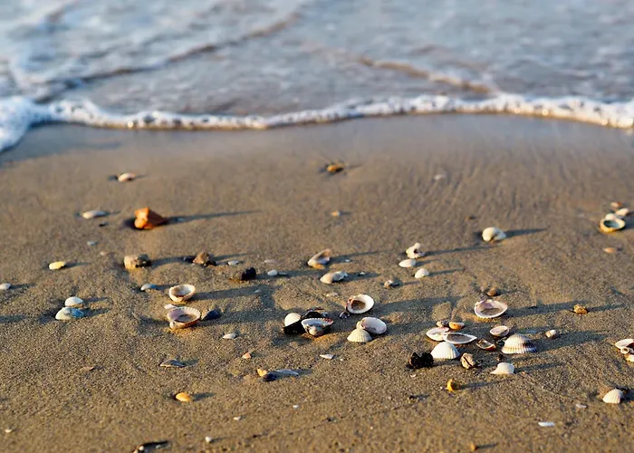 Apartment With Pool In 54749 Bibione